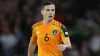 Josh Cullen has admitted the Republic of Ireland have only themselves to blame for Euro 2024 defeat in Greece (Steve Welsh/P