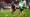 Twenty’s plenty for Jarrod Bowen – David Moyes backs Hammer to keep on scoring