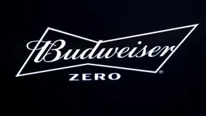 Decision to ban alcohol at World Cup leaves complex legal mess – leading expert