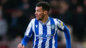 Marvin Johnson strike helps Sheffield Wednesday to battling win over Fleetwood