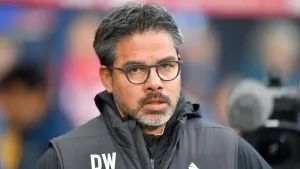 Norwich confirm appointment of David Wagner as club’s new head coach