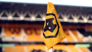 Wolves agree deal to sign Flamengo midfielder Joao Gomes