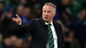 Michael O’Neill rues missed chances as Northern Ireland suffer Finland setback