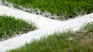 Tahvon Campbell scores late equaliser as Aldershot draw thriller at Eastleigh