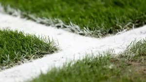 Torquay boost survival hopes with win at Maidenhead