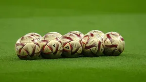 York snatch late point at Notts County and confirm National League survival