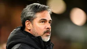 Norwich boss David Wagner delighted to ‘put things right’ with clinical display
