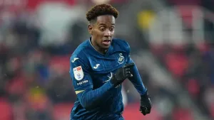 Jamal Lowe goal earns Swansea a point at Sheffield Wednesday