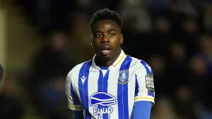 Sheffield Wednesday boost survival hopes with convincing win over West Brom