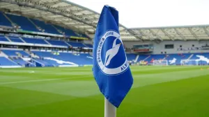 Former Australia international Dario Vidosic named new Brighton boss