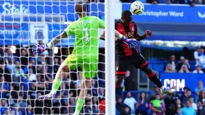 Bournemouth produce stunning late turnaround as Everton collapse at home