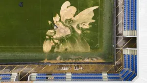 AFC Wimbledon-Newcastle Carabao Cup clash postponed due to extensive flooding