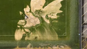 Stadium switch for Wimbledon-Newcastle Carabao Cup clash postponed by flooding