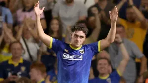 Matty Stevens hat-trick ensures AFC Wimbledon have happy homecoming after flood
