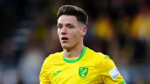 Ante Crnac at the double as Norwich see off Luton