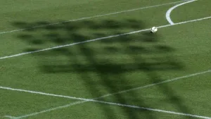 Rochdale still in strong play-off position despite draw with Fylde