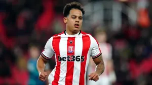 Stoke take big step towards survival with win over Sheffield Wednesday