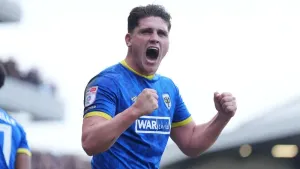 Matty Stevens scores again as AFC Wimbledon see off Barnsley