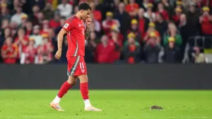 Cardiff defend pest control policy after rat halts Wales match