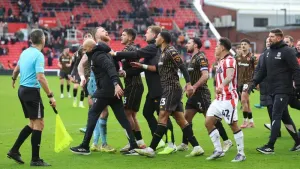 Mark Robins expects Stoke to be fined for their part in mass brawl against Hull
