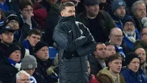 Fabian Hurzeler saw his Brighton side fall behind to a controversial penalty (Gareth Fuller/PA).