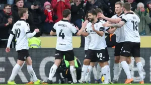 Bristol City squirrel away the points as loose rodent cannot help Hull